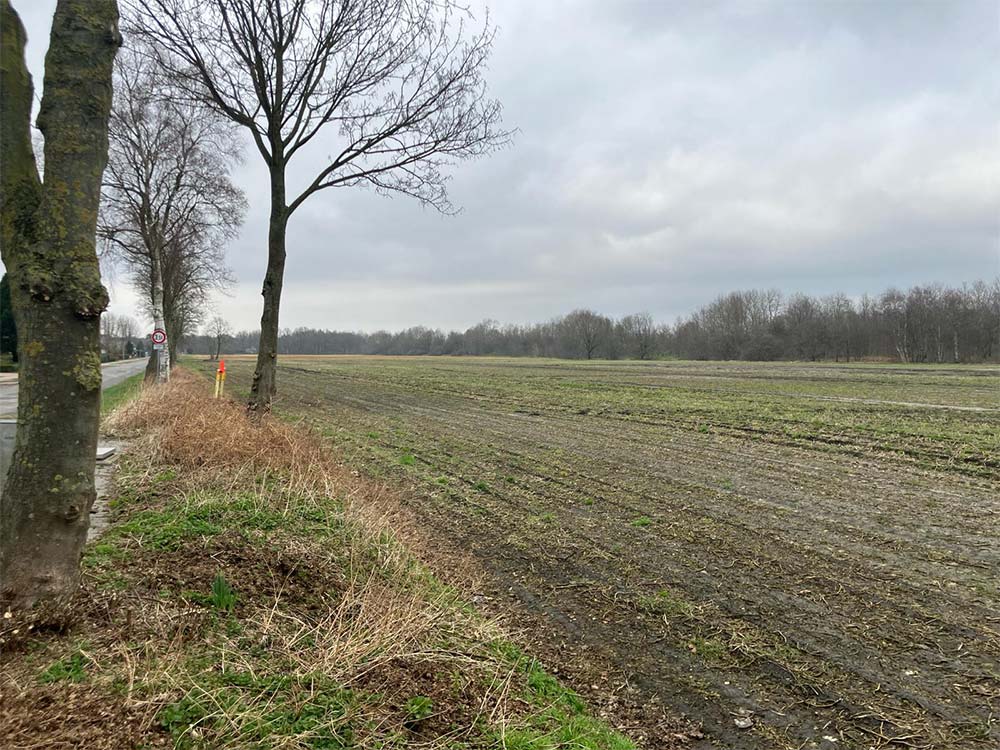 Hybrid-Projekt Rüherfeld